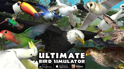 online birr game